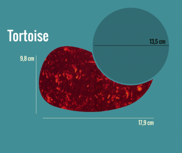 Slagplaat zwart of tortoise shell
